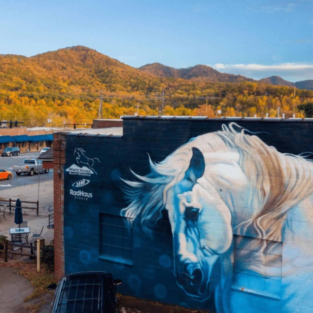 White Horse Black Mountain: Home