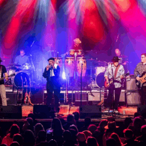 TRIBUTE – Celebration of The Allman Brothers Band