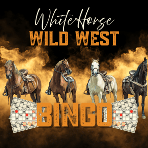 RSVP-Wild West Bingo