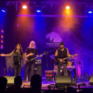 Ryan Holgerson's Electric Voodoo Choir